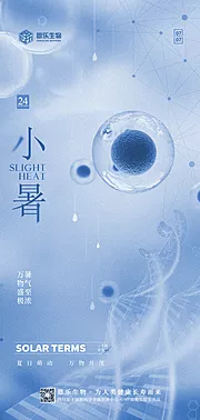 素材能量站-小暑节气海报