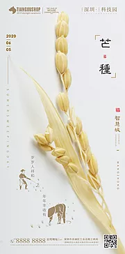 素材能量站-房地产二十四节气芒种