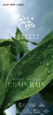 素材能量站-谷雨节气海报