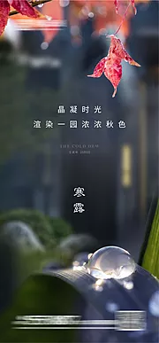 素材能量站-寒露节气海报