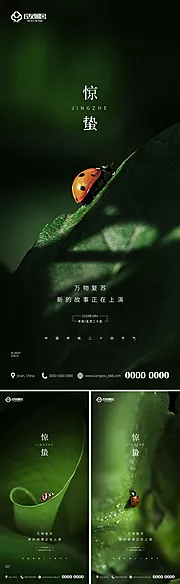 素材能量站-房地产惊蛰节气海报