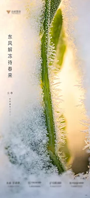 素材能量站-立春节气海报