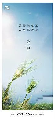 素材能量站-芒种节气移动端微信海报