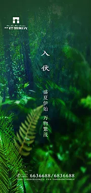 素材能量站-清爽初伏节气海报