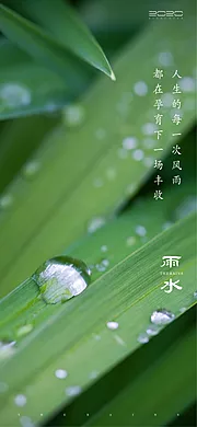 素材能量站-雨水节气海报