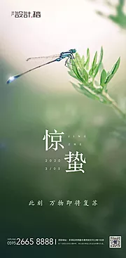 素材能量站-惊蛰传统节气地产海报