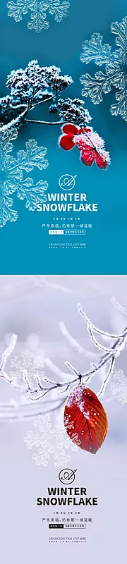 素材能量站-大雪冬至大寒小寒雪花系列海报