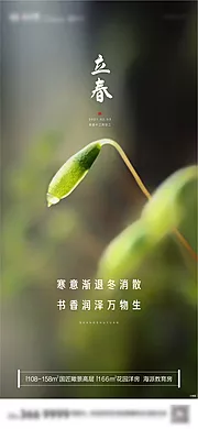 素材能量站-立春节气海报