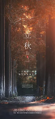 素材能量站-立秋节气