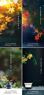 素材能量站-秋分节气海报系列