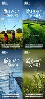 素材能量站-小满夏至小暑大暑立夏节气系列海报