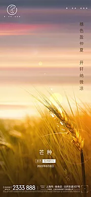 素材能量站-芒种刷屏