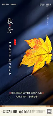 素材能量站-地产秋分节气海报