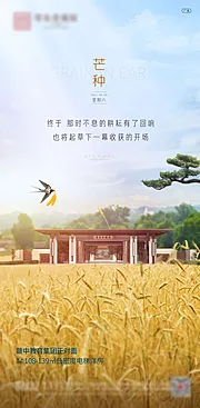 素材能量站-芒种节气海报