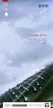 素材能量站-谷雨节气海报