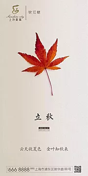 素材能量站-立秋节气移动端海报