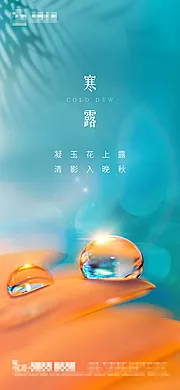 素材能量站-地产寒露节气海报