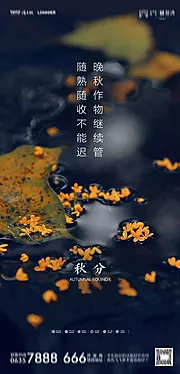 素材能量站-地产秋分海报