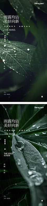 素材能量站-谷雨下雨清明节树叶24节气海报