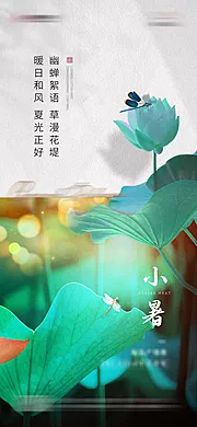 素材能量站-小暑节气海报