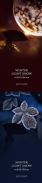 素材能量站-立冬小雪大雪冬至冰花系列海报