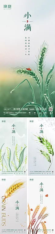 素材能量站-小满节气系列海报