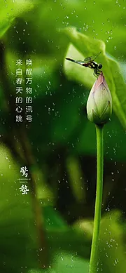 素材能量站-惊蛰 节气 立春