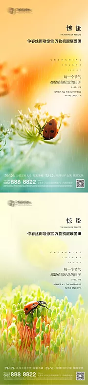 素材能量站-惊蛰 二十四节气 立春