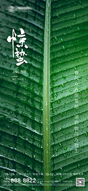 素材能量站-惊蛰 二十四节气 立春