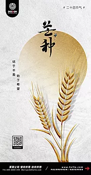 素材能量站-芒种 节气 小麦 丰收