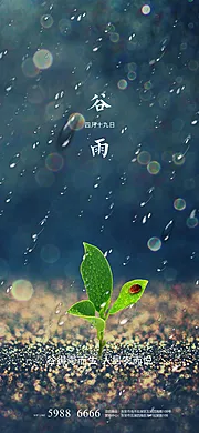 素材能量站-谷雨 二十四节气