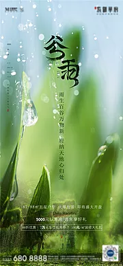 素材能量站-谷雨 二十四节气