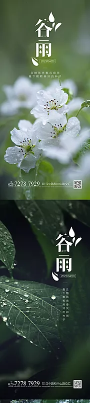 素材能量站-谷雨节气海报