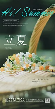 素材能量站-立夏