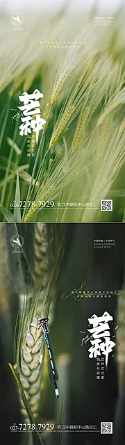 素材能量站-芒种节气海报