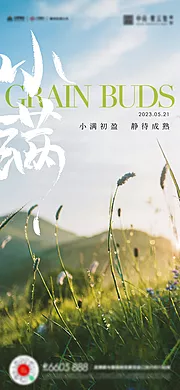 素材能量站-小满芒种夏至海报