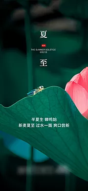 素材能量站-夏至 节气