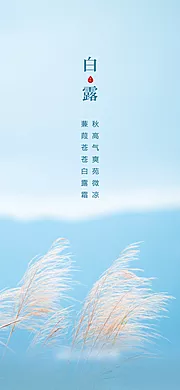 素材能量站-白露节气