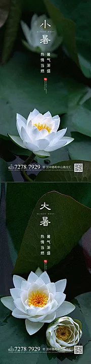 素材能量站-小暑大暑节气海报