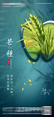 素材能量站-医美口腔芒种节气海报