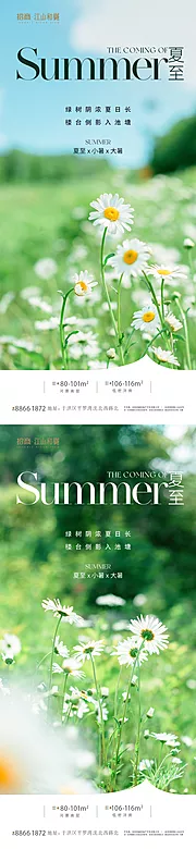 素材能量站-夏至