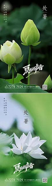 素材能量站-处暑节气海报