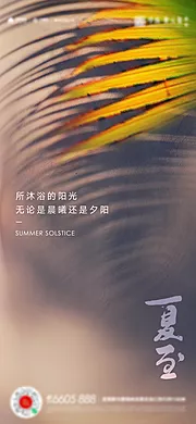 素材能量站-夏至立夏小暑大暑海报