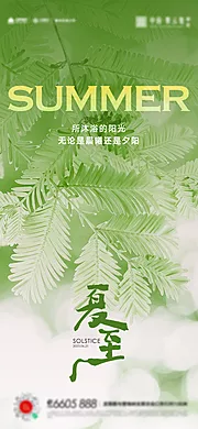 素材能量站-夏至立夏小暑大暑海报