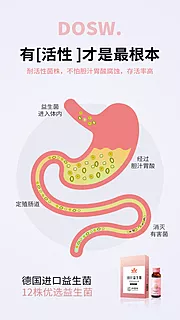 素材能量站-益生菌酵素减肥塑身肠道圈图海报