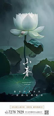 素材能量站-小暑节气海报