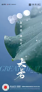 素材能量站-大暑小暑夏至立夏海报