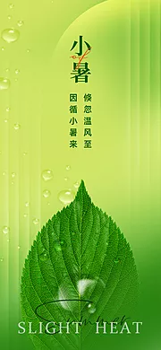 素材能量站-小暑节气