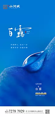 素材能量站-白露节气海报