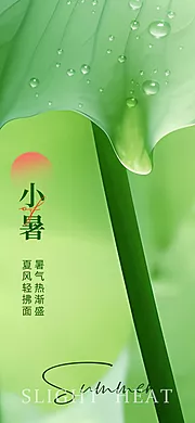 素材能量站-小暑荷下乘凉